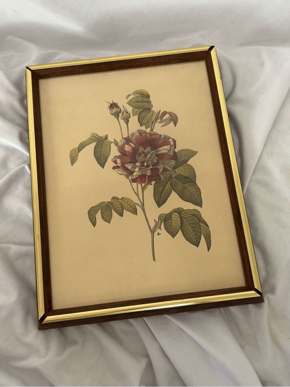 Antique framed flower art print home decor wall hanging vintage cream floral